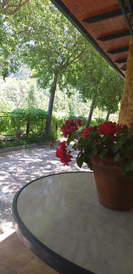Cortijo El Cercadillo Guest House Bedmar y Garciez Luaran gambar