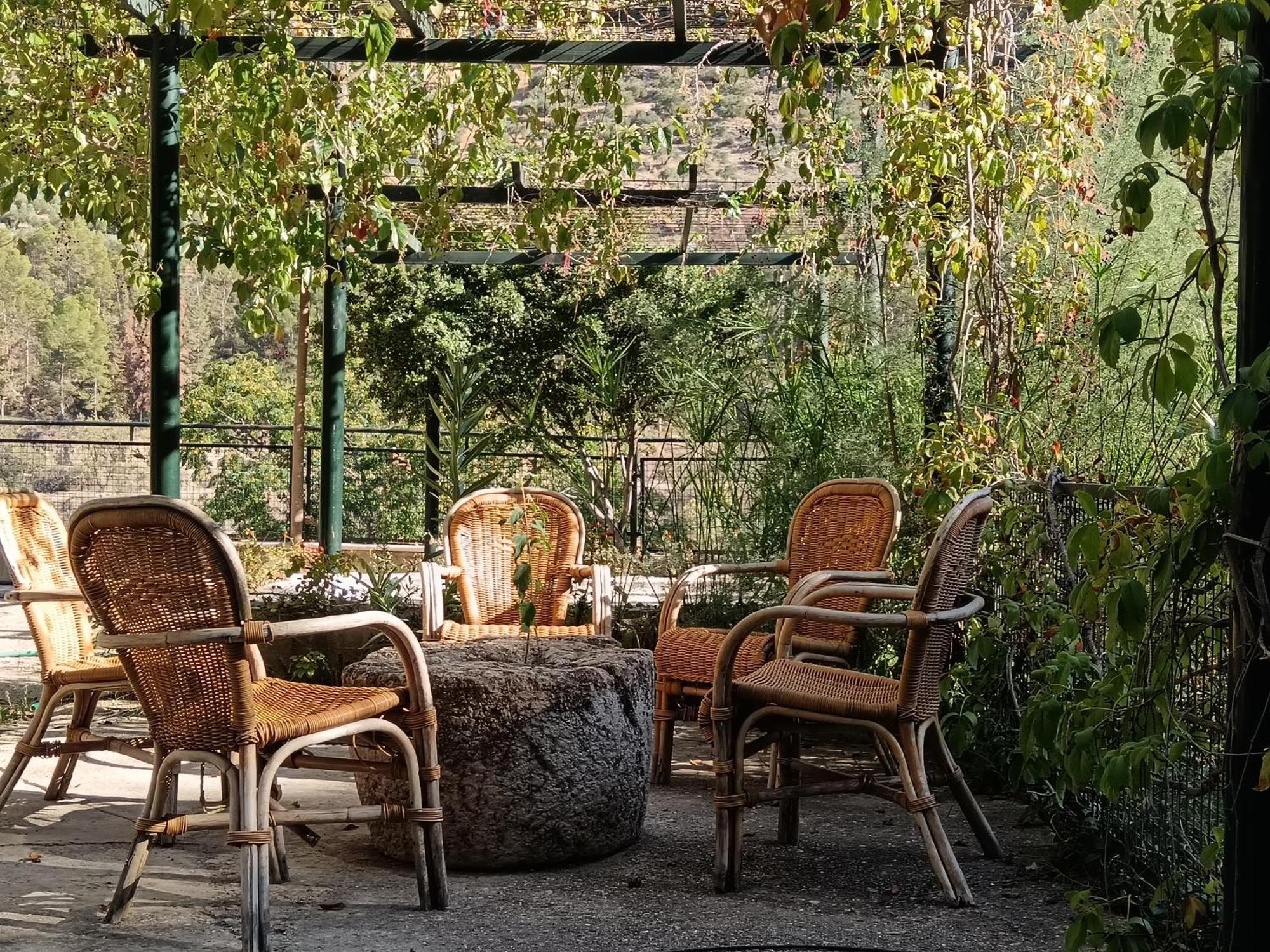 Cortijo El Cercadillo Guest House Bedmar y Garciez Luaran gambar